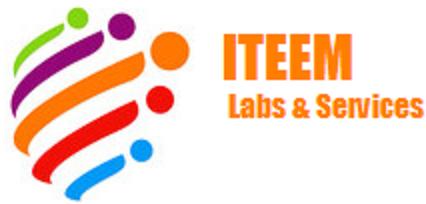 Logo ITEEM